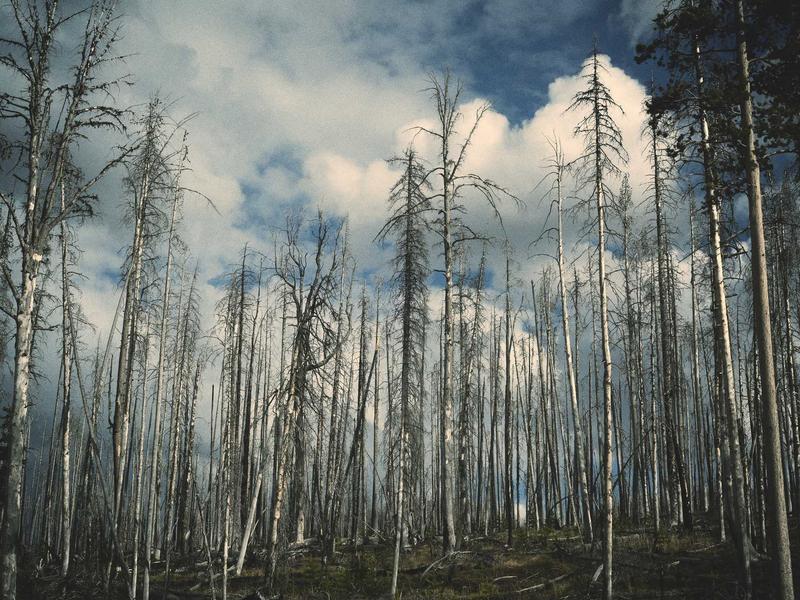 外区ID切换回国<br>港区/美区换回国内教学
